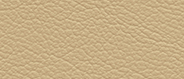 AD 6023 Mendoza