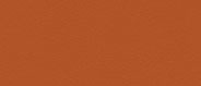 BL 1907 Burnt Orange