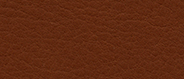CA 1250 Turmeric