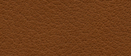 CA 1251 Cinnamon