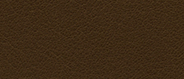 CA 1254 Cumin