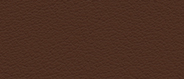 CO 2218 Bernini