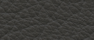 DL 0316 Rhino