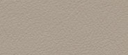FE 4078 Gray Parrot