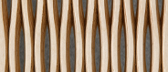 Foli Baltic Birch Plywood Natural