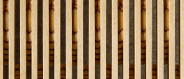 Linar Baltic Birch Plywood Finished