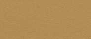 LU 1603 Delphinus