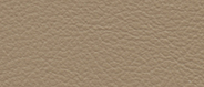 SA 0701 Bone