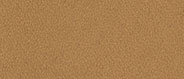 SL 0061 Buckskin