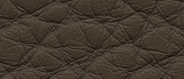 SS 2254 Granite