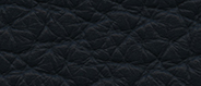 SS 2260 Bluestone