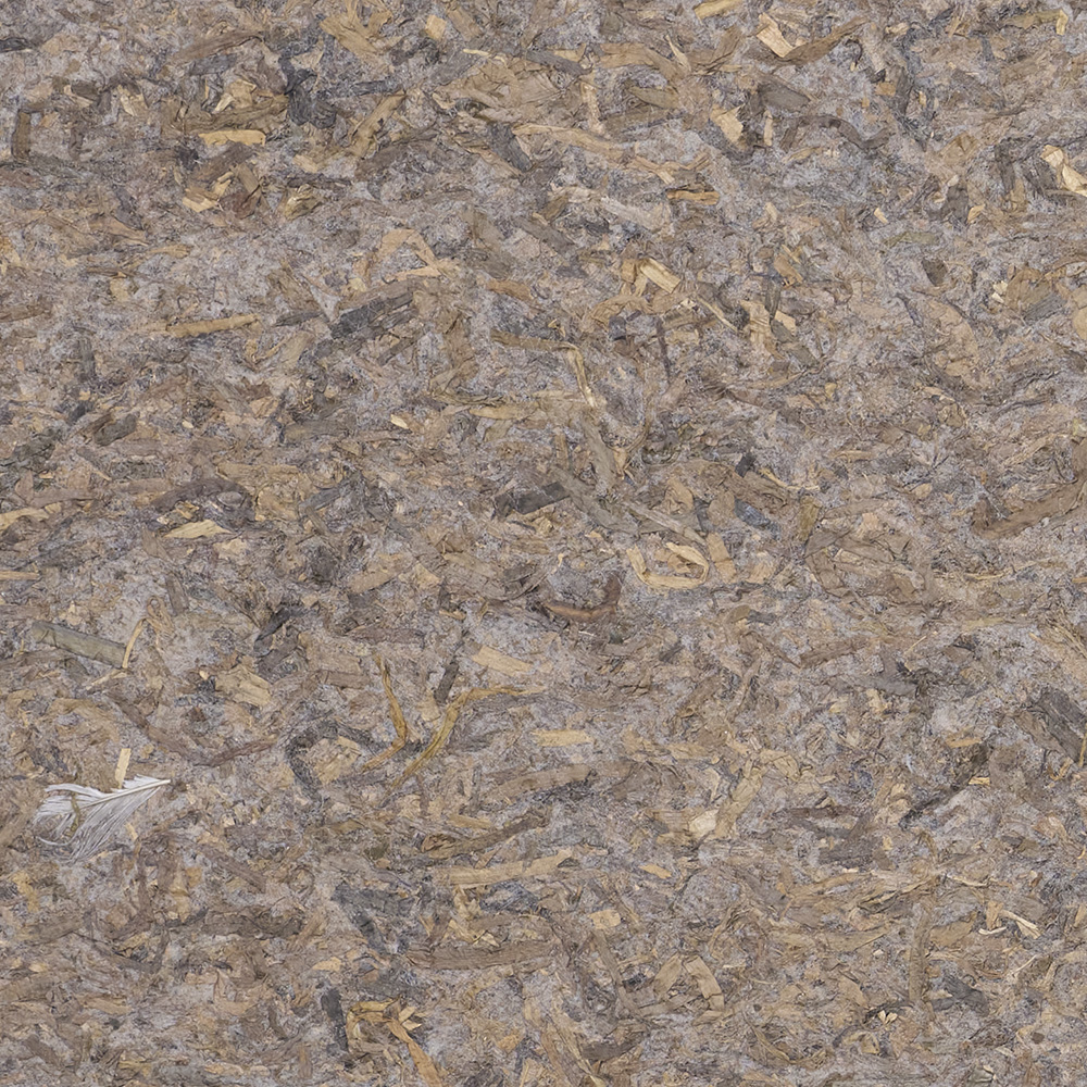 EG 0001 Natural Eelgrass