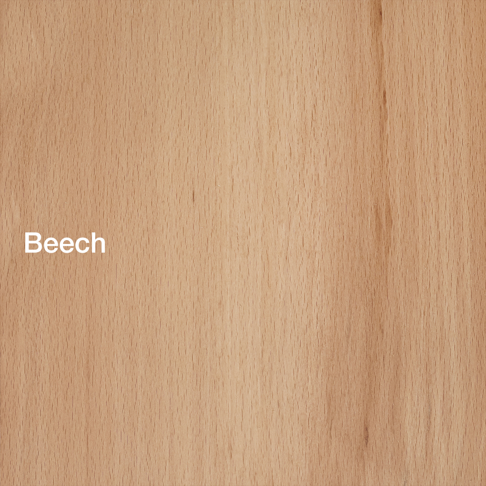 Beech