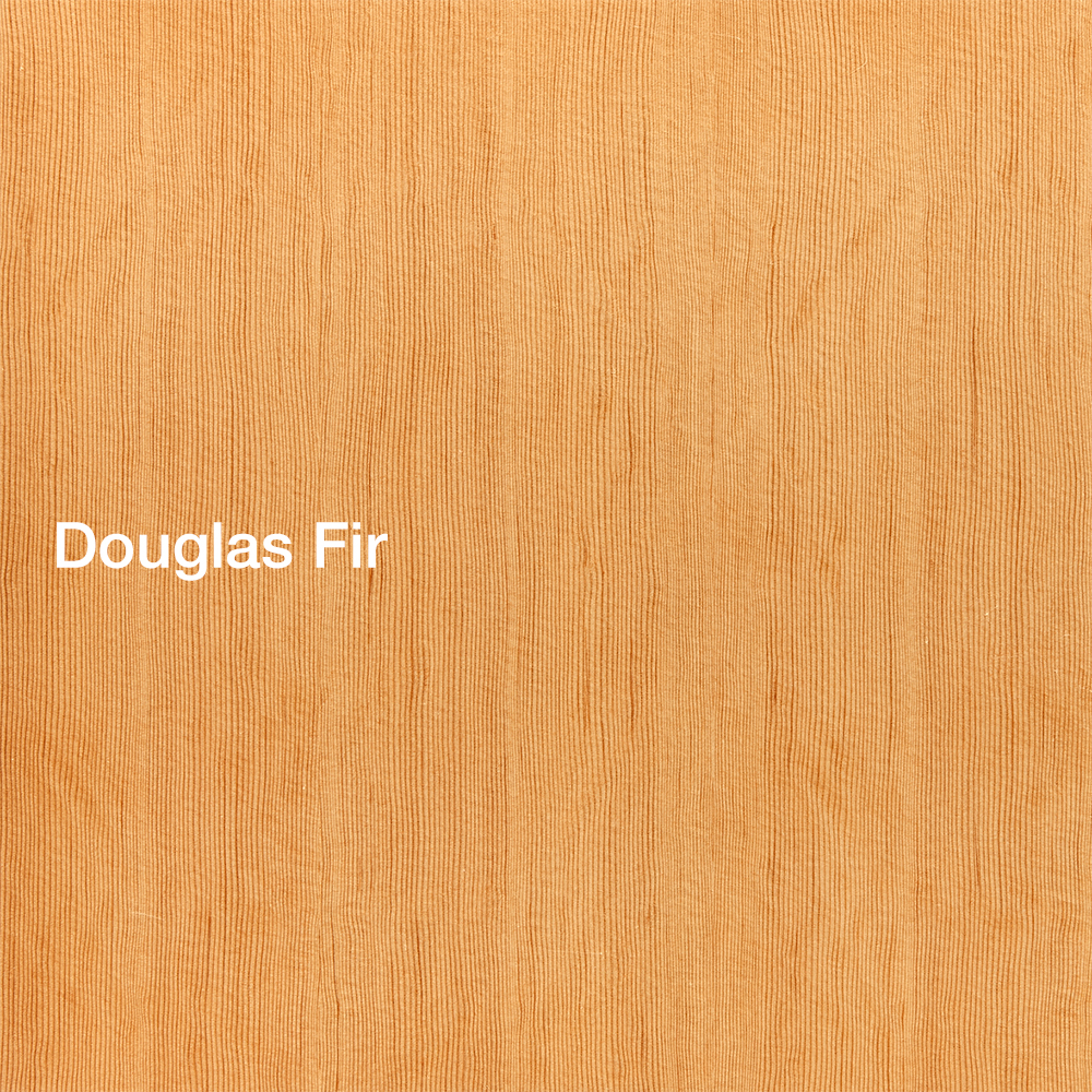 Douglas Fir