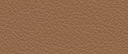 VP 0558 Butternut
