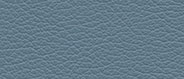 VP 0587 Auburn