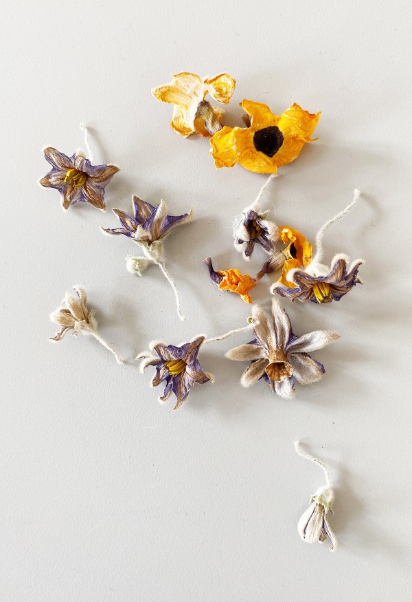 Nina Bruun Purple and Yellow Flowers