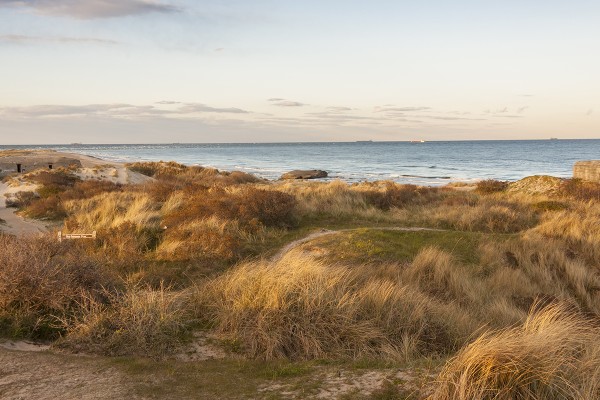 Skagen Beach