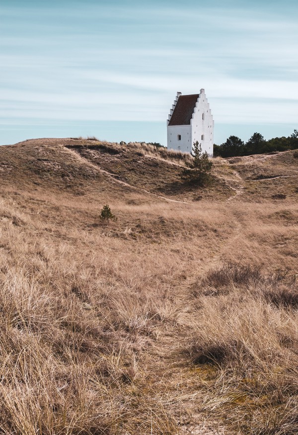 Skagen Coast with House